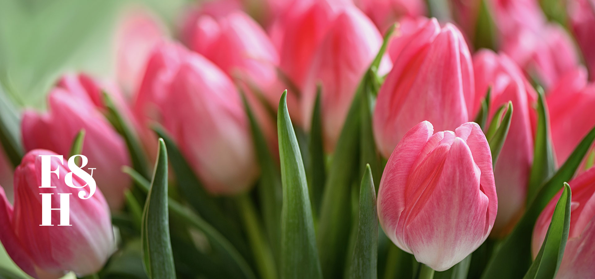 Trigs-HomePgBanner-1920x900-floral-spring.jpg