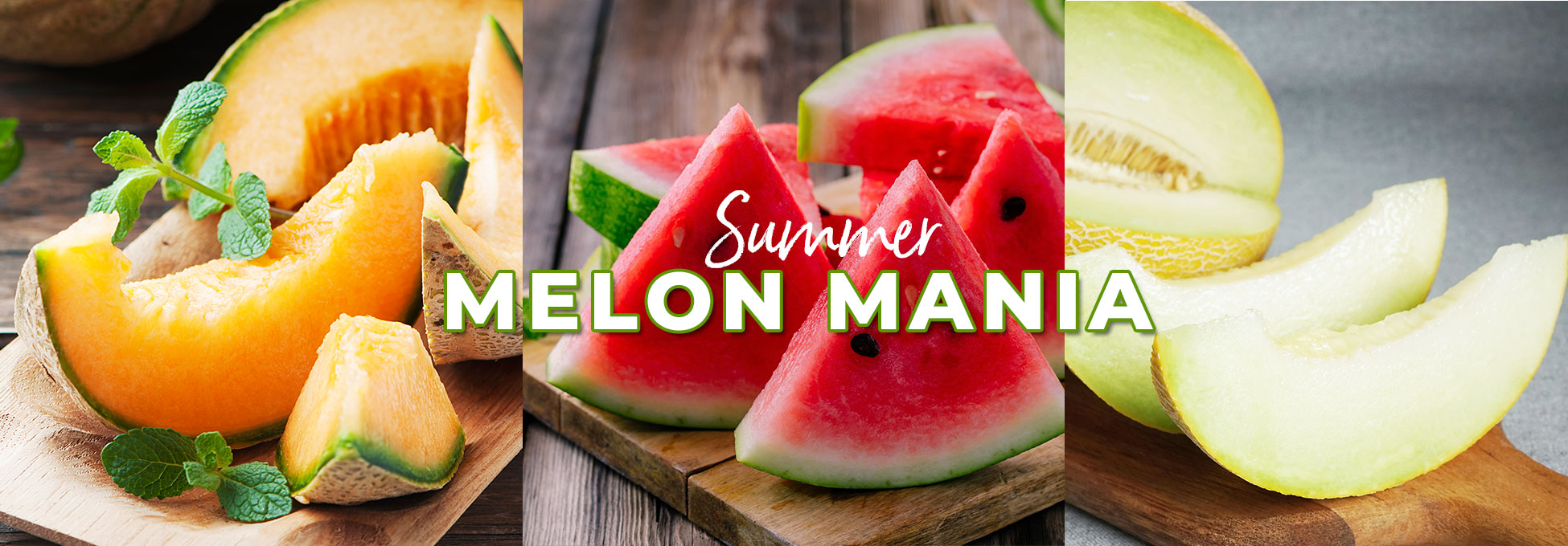 trigs-homepg-banner-summer-melon-mania.jpg